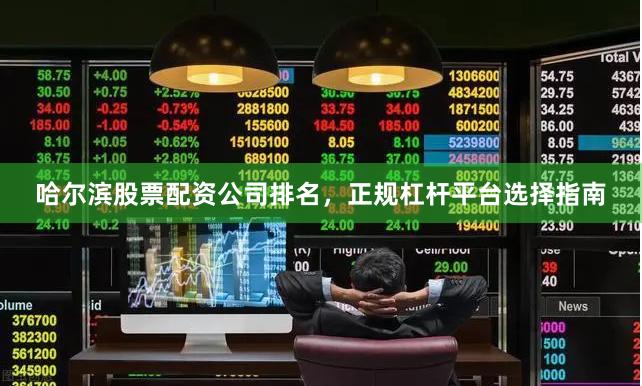 哈尔滨股票配资公司排名，正规杠杆平台选择指南