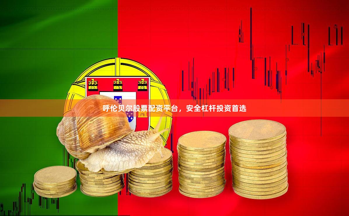 呼伦贝尔股票配资平台，安全杠杆投资首选