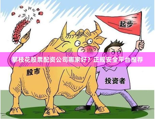 攀枝花股票配资公司哪家好？正规安全平台推荐