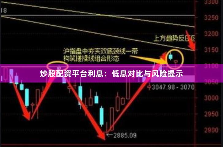 炒股配资平台利息:低息对比与风险提示
